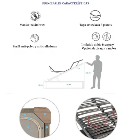 Canapé Koala Confort  Articulado 1 cuerpo