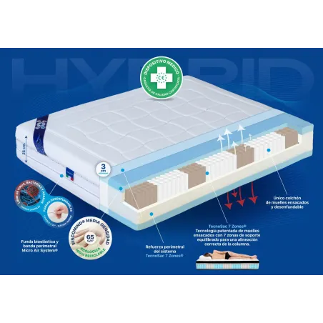 Plus Salute Spring Bayscent