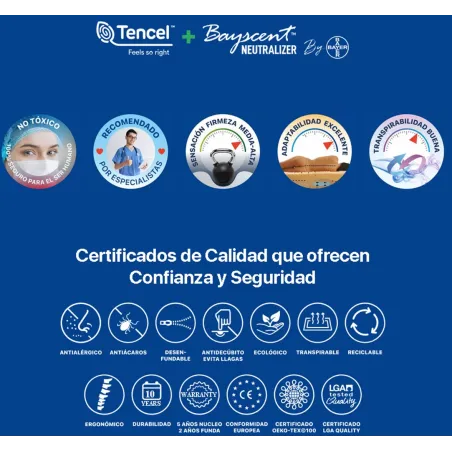 Plus Salute Spring Bayscent