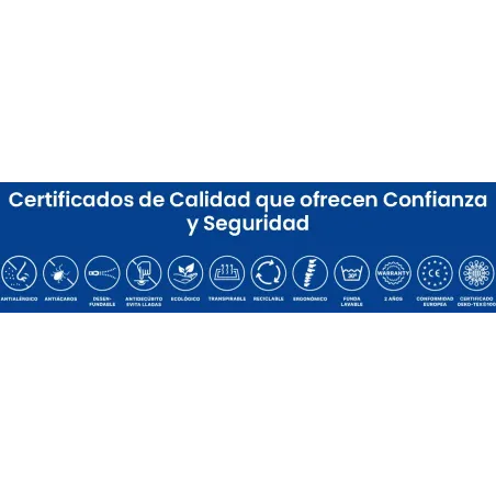 Almohada viscoelástica Soya Genesi de Plus Salute