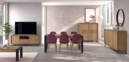 Mueble de salón Líneas Aire 028