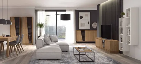 Mueble de salón Diagonal Aire 038