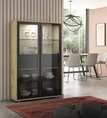 Vitrina Iconic 2caj interiores