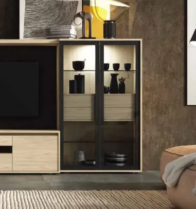 Vitrina Iconic 2caj interiores