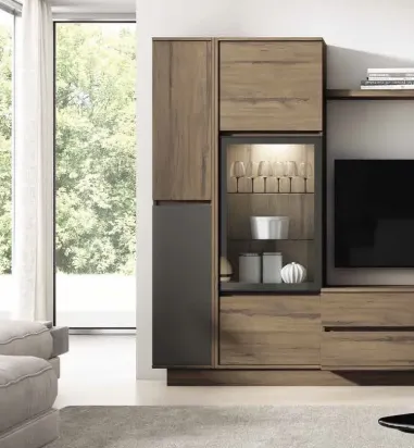 Vitrina Iconic 5 puertas